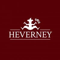 Heverney: Brand card games poker chips and case. 